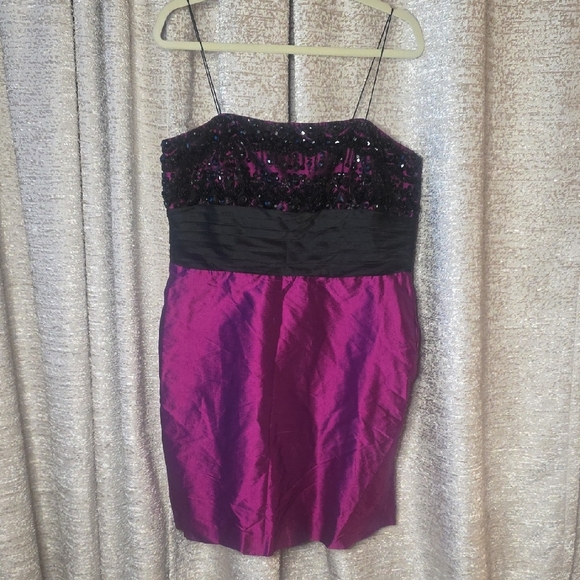 Shani Dresses & Skirts - Magenta and Black Sequin Bodice Mini Dress